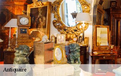 Antiquaire Haute-Garonne 