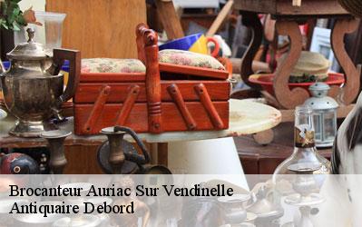 Brocanteur  31460