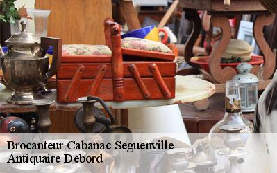 Brocanteur  31480