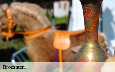 Brocanteur  31510